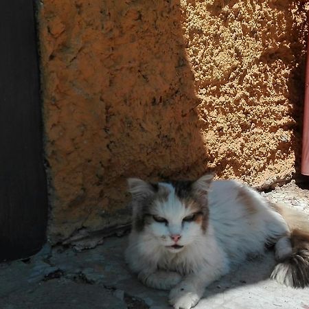 La Vecchia Mola Appartamento Ronciglione  Esterno foto