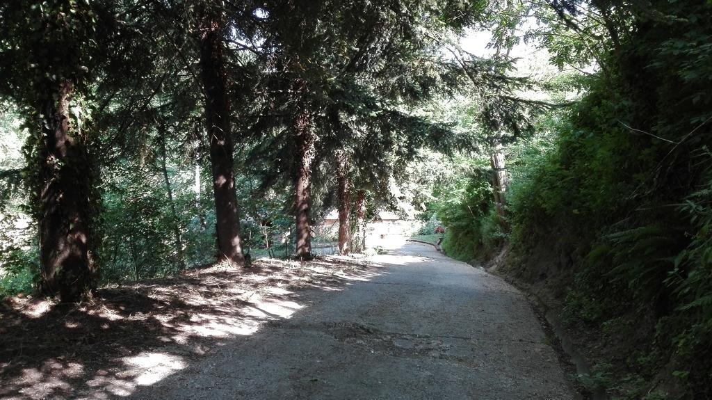 La Vecchia Mola Appartamento Ronciglione  Esterno foto