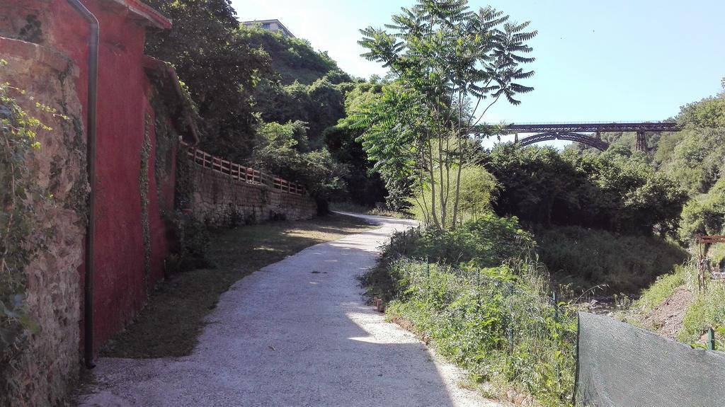 La Vecchia Mola Appartamento Ronciglione  Esterno foto