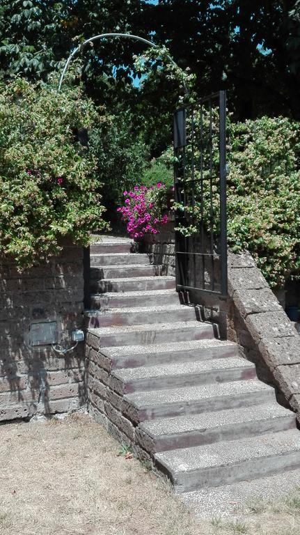 La Vecchia Mola Appartamento Ronciglione  Esterno foto