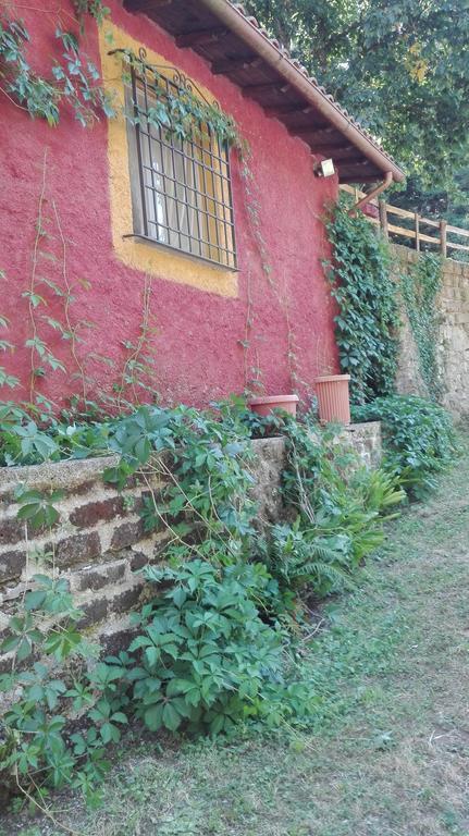 La Vecchia Mola Appartamento Ronciglione  Esterno foto