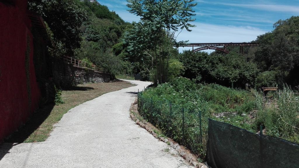 La Vecchia Mola Appartamento Ronciglione  Esterno foto