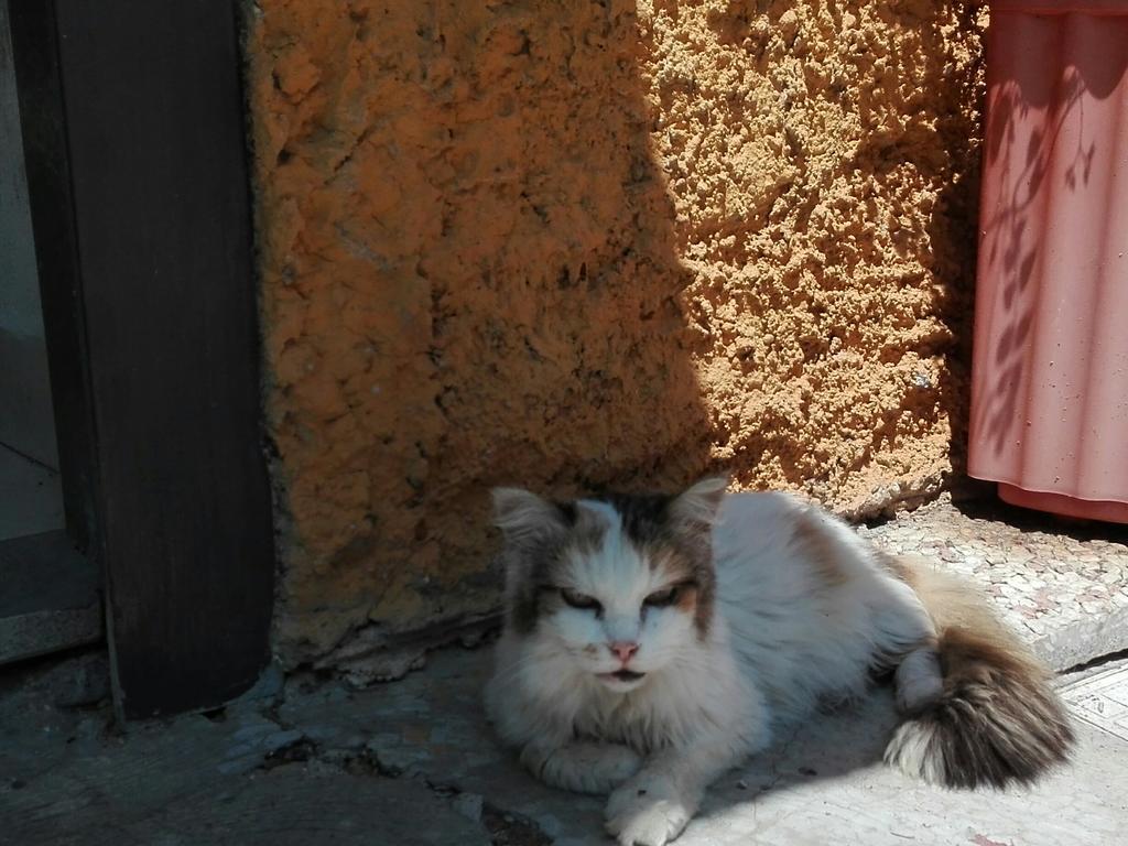 La Vecchia Mola Appartamento Ronciglione  Esterno foto